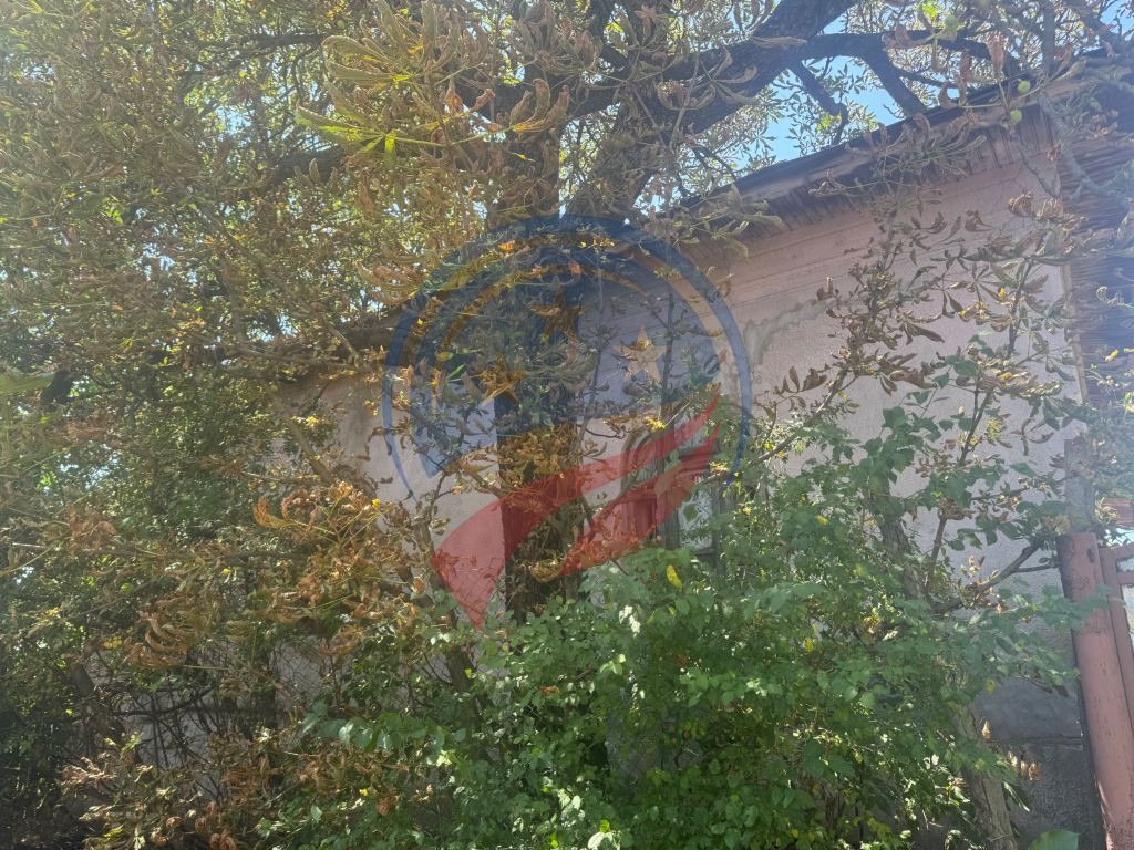 Teren/ casa demolabila Dutulesti
