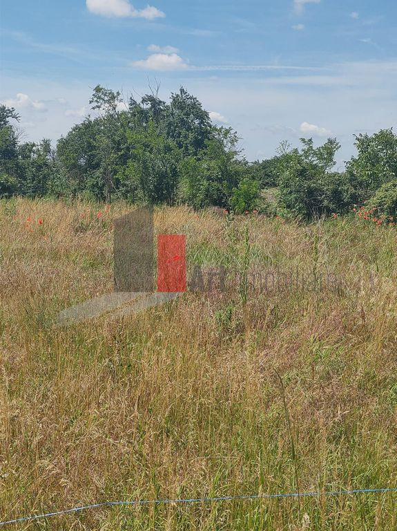Vânzare 2 loturi de casă Dobreni Giurgiu