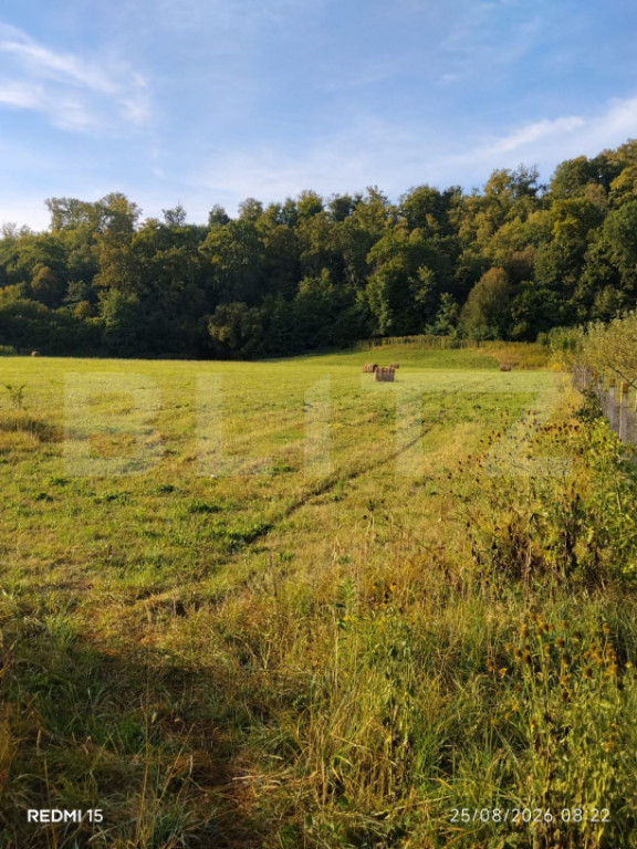 Teren intravilan de vanzare, 2.844 mp, zona Arcalia