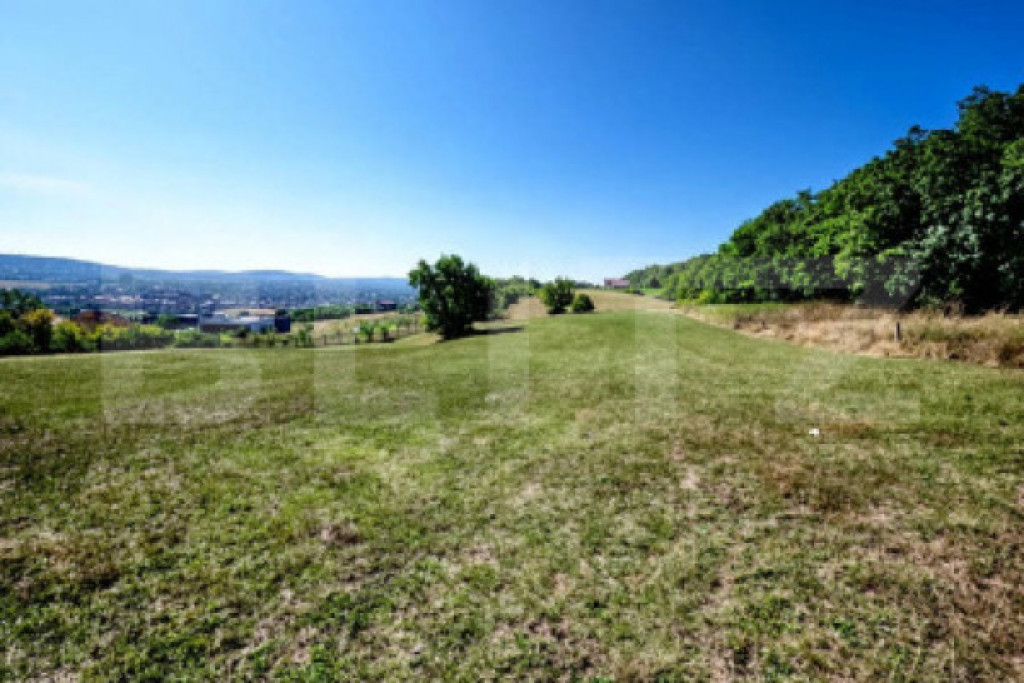 Teren de vanzare, 10.000 mp, zona Unirii