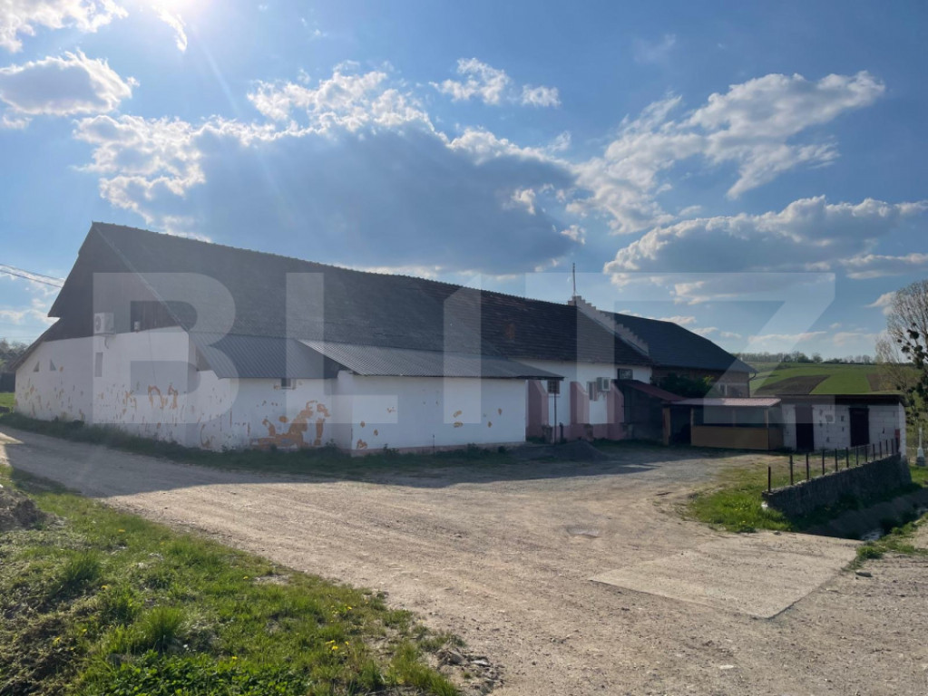 Clădire de 230 mp pe teren de 1.300 mp – Oportunitate de