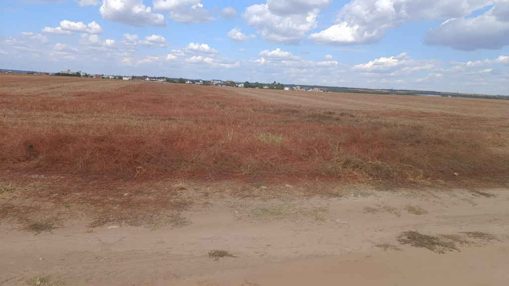 Teren intravilan, 7000 mp, zona Preajba noua-Damila