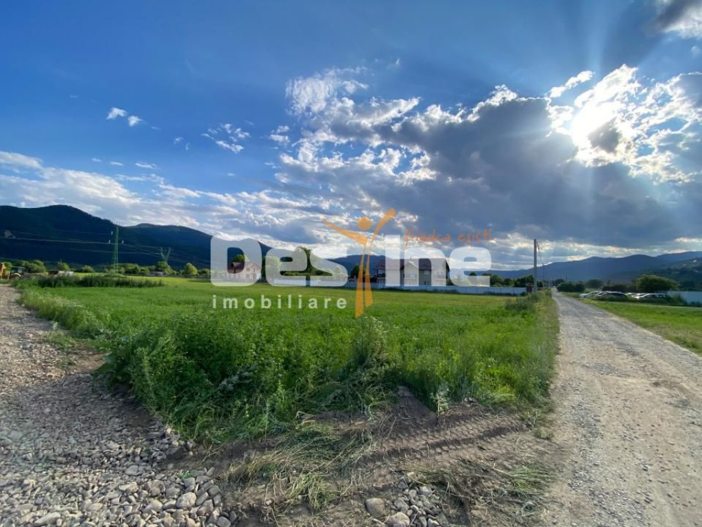 Teren de vanzare Alexandru cel Bun 20.000 Euro 735mp