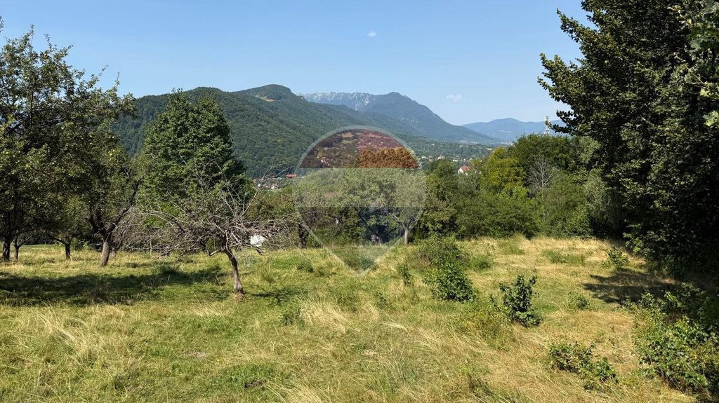 Comision 0% | Teren intravilan 2.700 mp | Sohodol – Bran | Priveliște