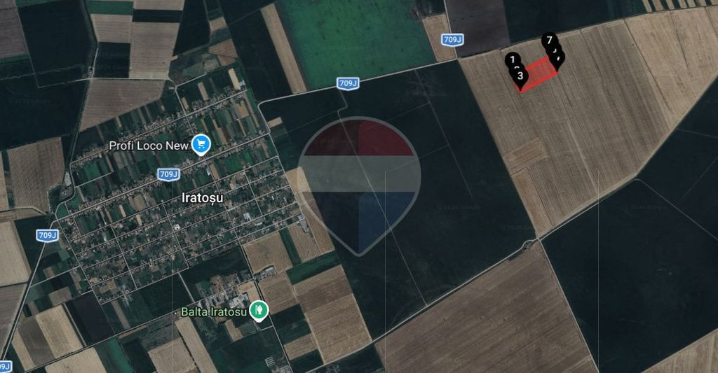 Teren agricol 46.300 mp în Curtici | Venit anual din arendă