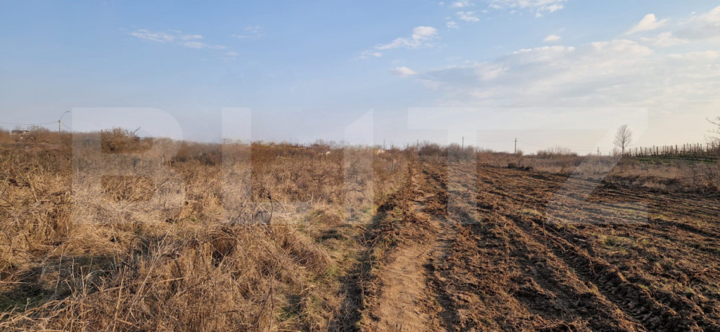 Teren intravilan 7600mp Rovine 2