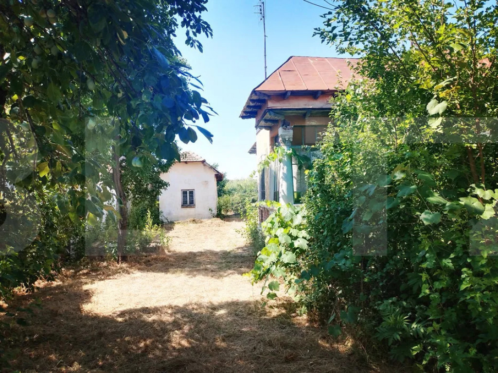 Urgent! Casă cu teren 5.038 mp, Pleșoiu-Arcești, stradă