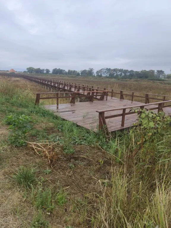 Teren intravilan la balta Odoreu, Satu Mare 2500mp