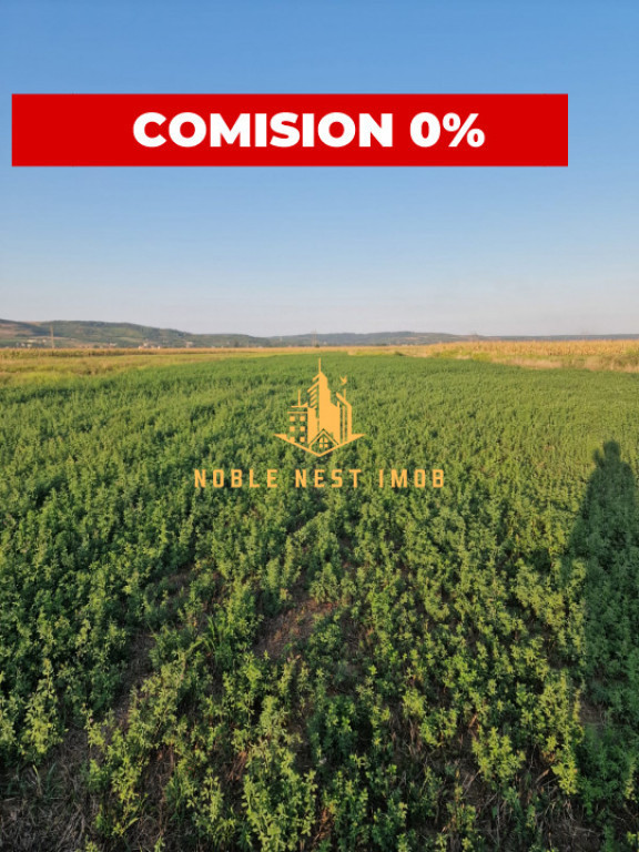 TEREN 2353 MP – UDENI-ZĂVOI, JUD. ARGEȘ | COMISION 0%