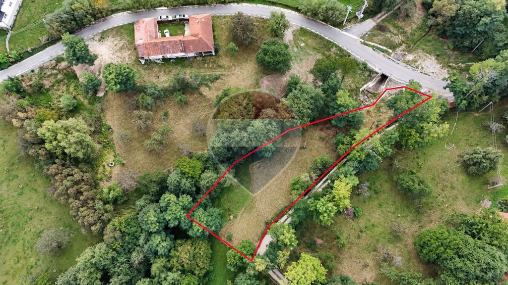 Teren intravilan | 1720mp | Drum asfaltat | Utilități | Sohodol | Bran