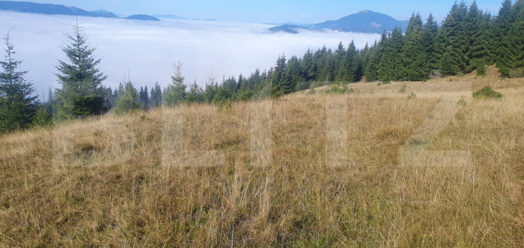 Teren extravilan, 50.000 mp, zona Vatra Dornei