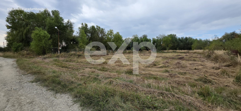 Teren intravilan 1.589 mp în Priseaca – Lângă Complex D