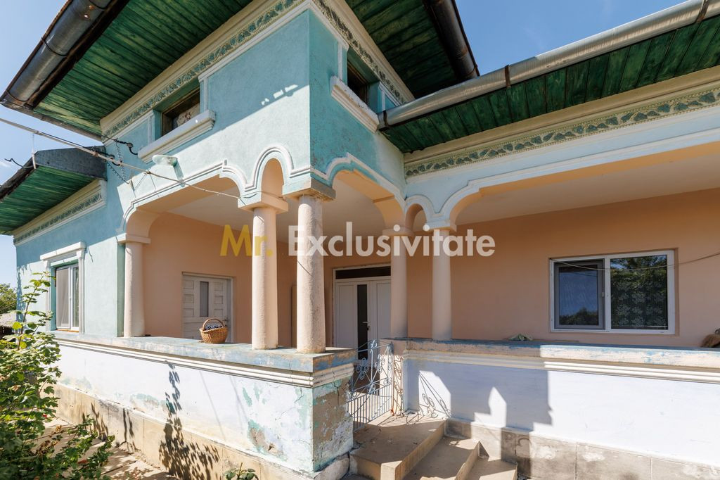 CASA SI GOSPODARIE DE VANZARE – SPINENI, OLT | 4.000 MP TEREN
