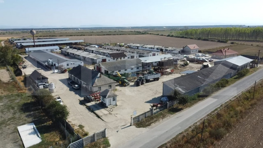 Ferma de bovine de inchiriat, 1800 mp, Lazuri
