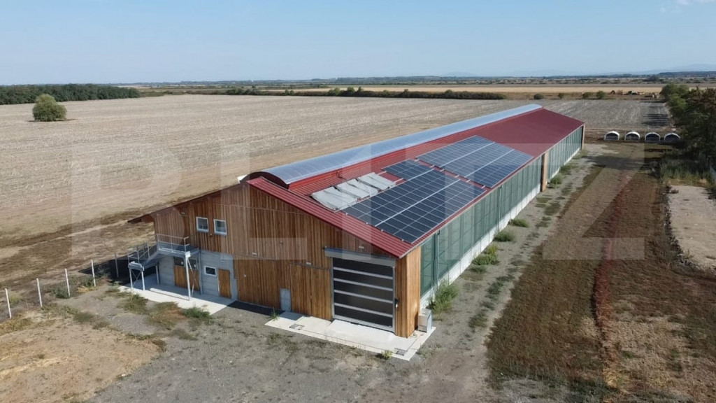Ferma noua, moderna si complet utilata, de bovine de inchiri