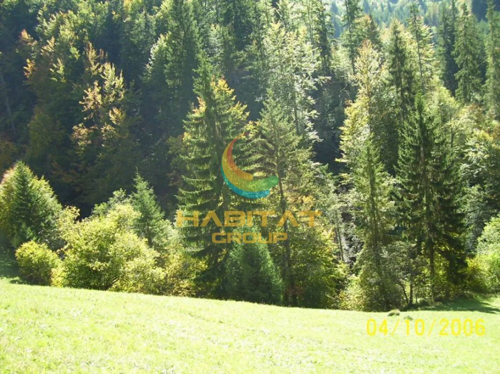 Teren Dambovicioara 6000 mp Ideal Investitie