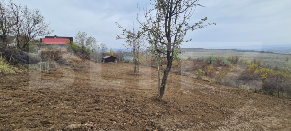 Teren de vanzare, 900 mp, zona Visan - str. Regina Maria