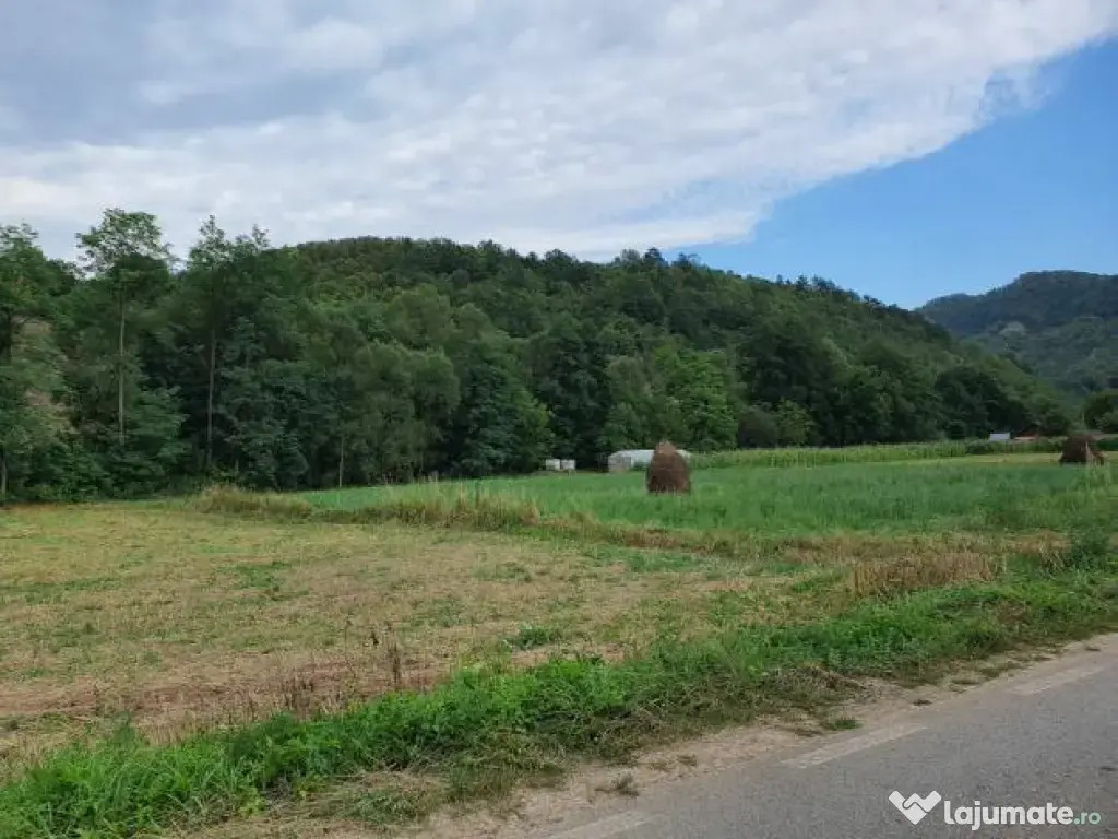 Doua terenuri extravilane 1440 si 1500 mp Baita, Hunedoara, redus 30%