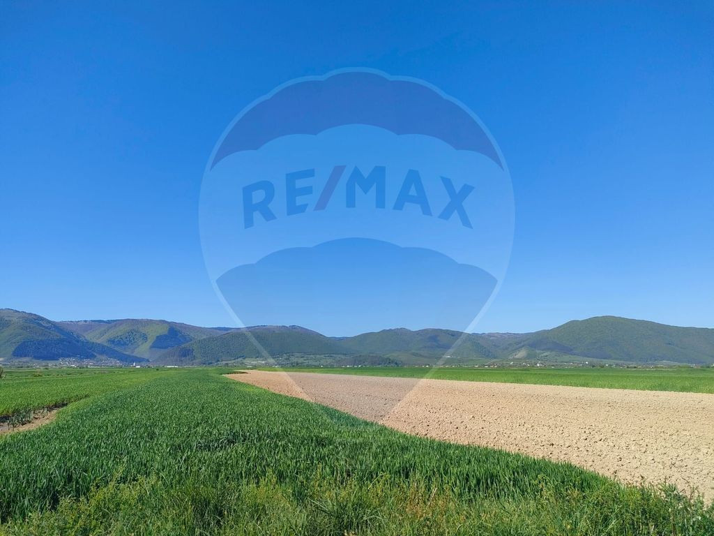 Panoramă deasupra lumii Teren de poveste Gura Râului, zona Peste Grui