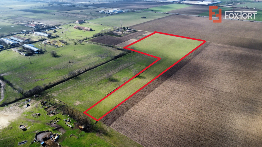 Teren intravilan 2 hectare in Padureni – oportunitate inve