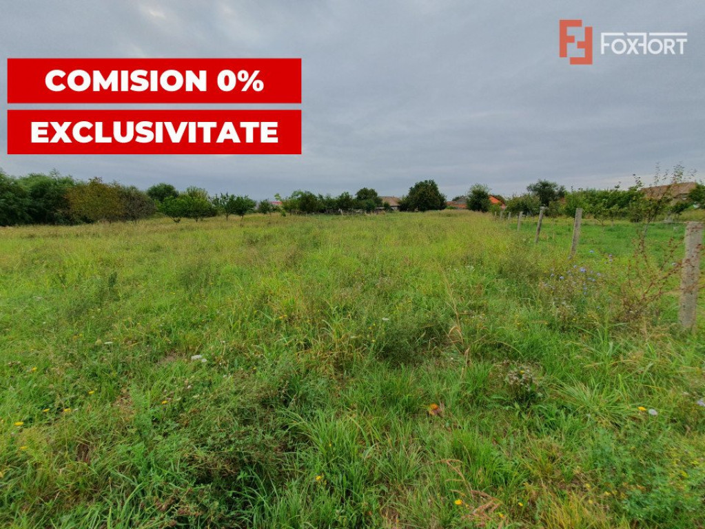 COMISION 0% Teren intravilan 2978 mp la sosea | Sanmihaiu Ge