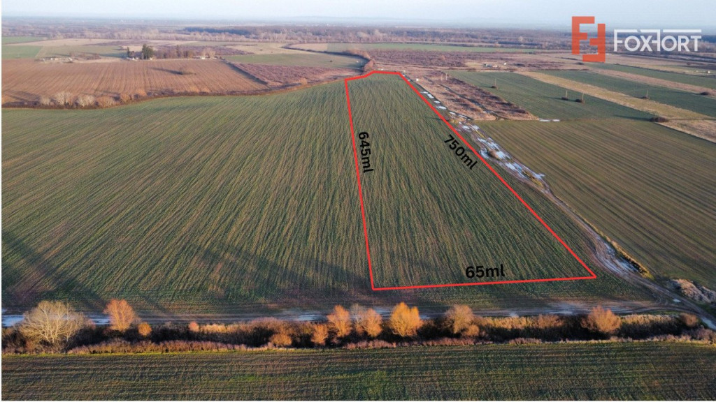 Teren extravilan arabil 50.890mp - aproape de centura Timiso
