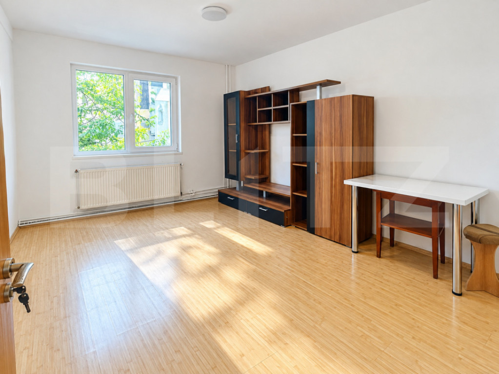 Apartament cu o camera, Etaj 1, Zona Blascovici