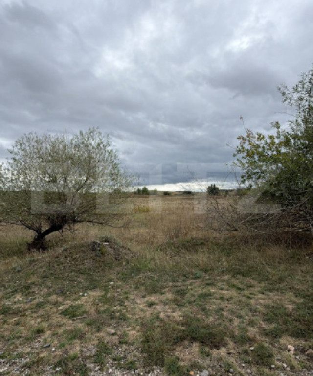 Teren de vanzare, 6.600 mp, zona Cornesti - Mihai Viteazu