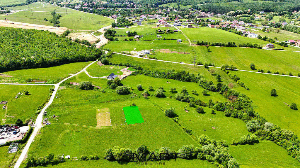 Teren extravilan 600mp in Tocile de Jos
