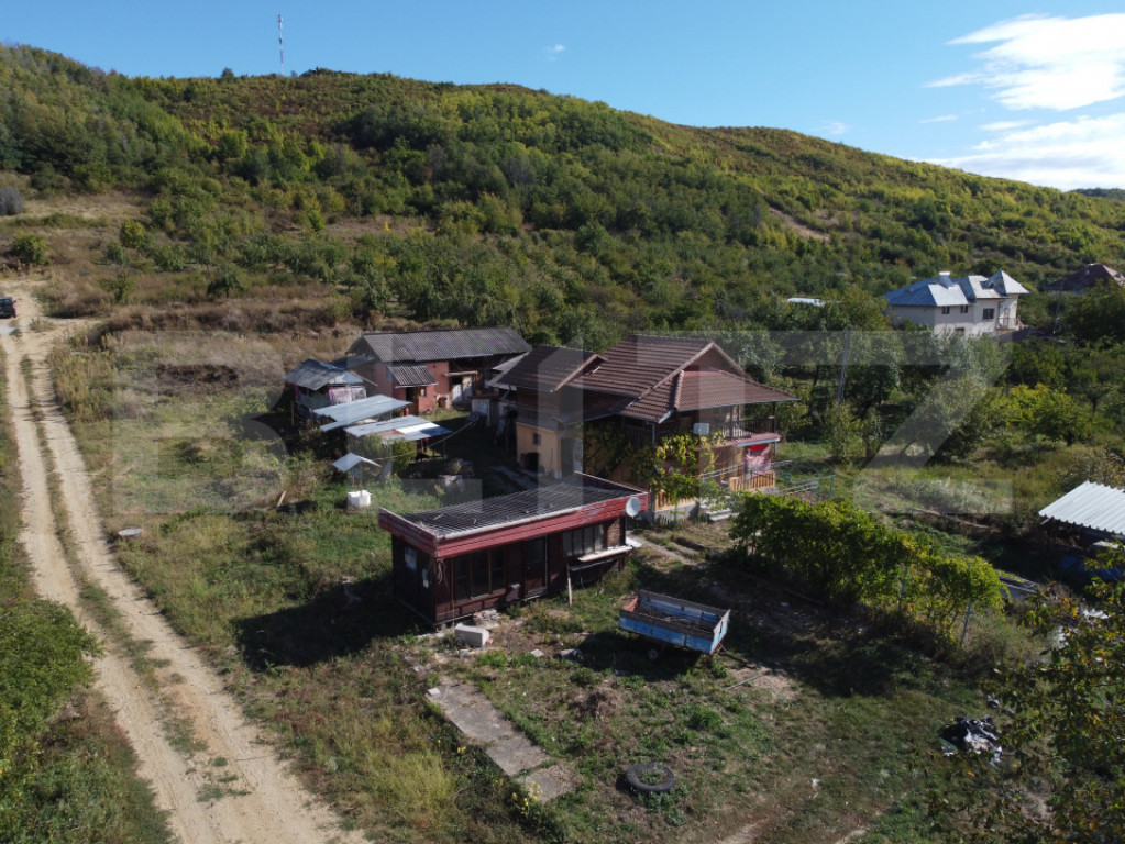 Casă P+M cu 1.380 mp teren intravilan, Viforâta – 97 mp
