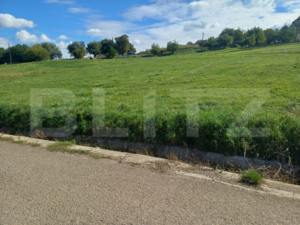 Teren Intravilan 20 Ari – Zvoristea-Stanca, Suceava