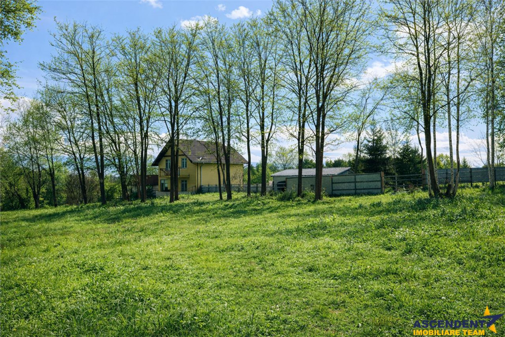 In cadru apreciabil, cu documentie si autorizatie: 550 mp te