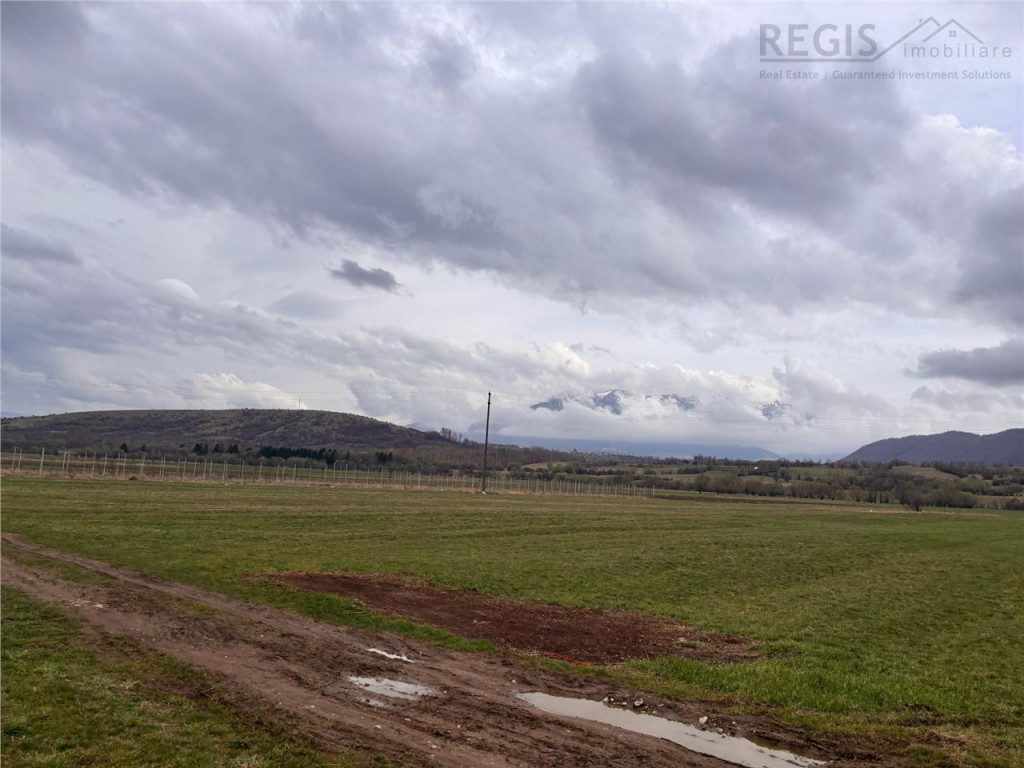 Teren constructii, 2396mp, front 19ml-Zarnesti