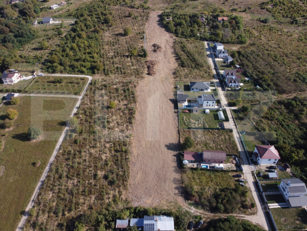 Teren Intravilan 11.477 mp – Viforâta, Dâmbovița