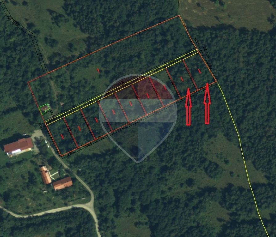 Oportunitate de investiție - 2.034 mp în Viștișoara (Țara Făgărașului)