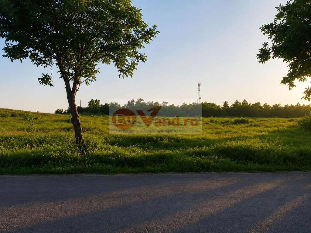 Vânzare teren intravilan – 9.500 mp, DN26 - Tulucesti