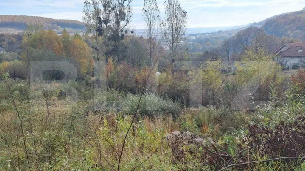 Blitz - Teren Feleacu 1.375 mp, proiect casă individuală