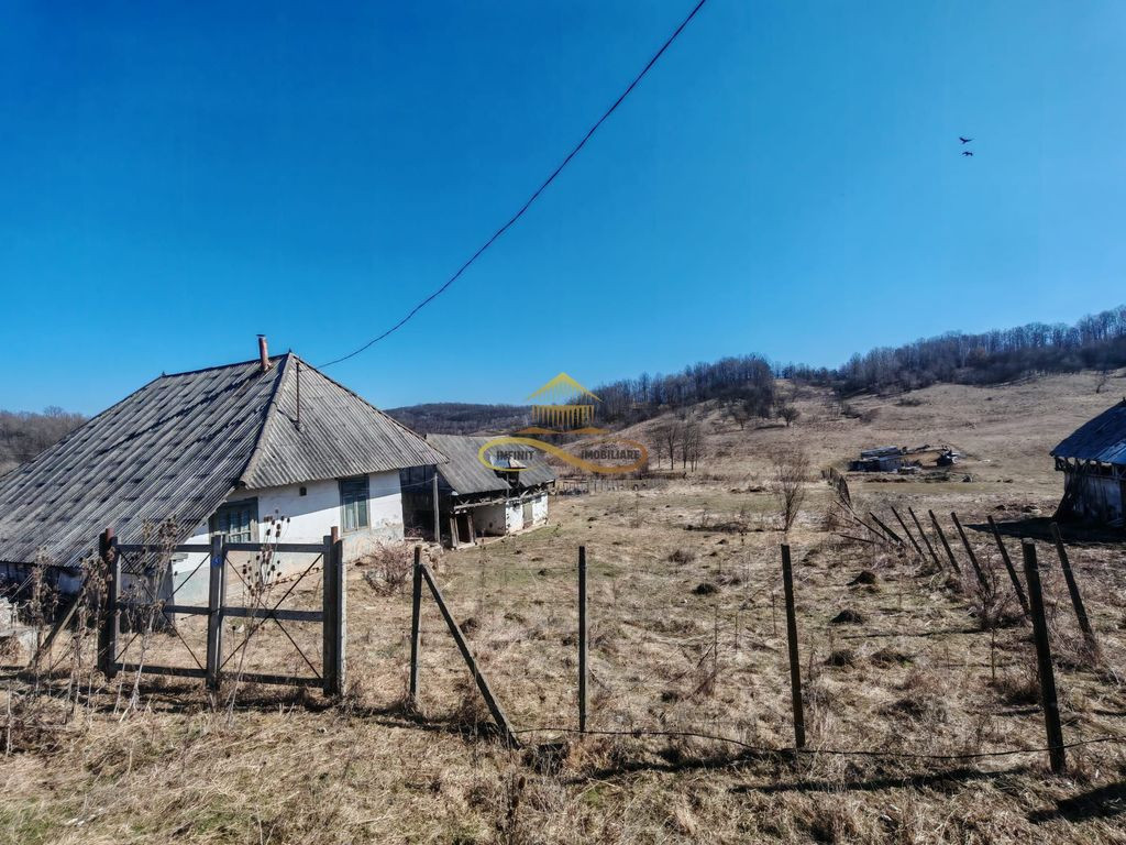 Vand teren intravilan Stejaru Bacau