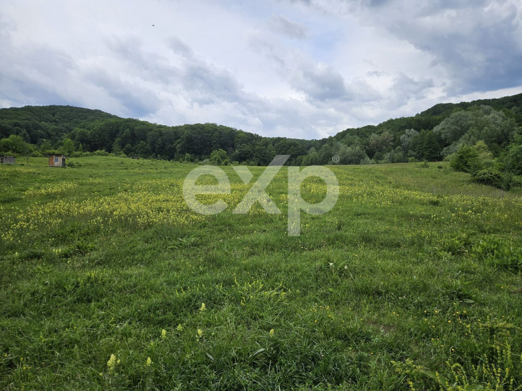 Proprietate de vânzare pentru investiție–teren 3874mp+co