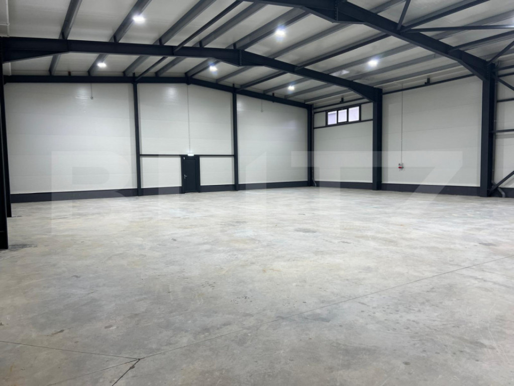 Spatiu comercial - 20 mp Lapus