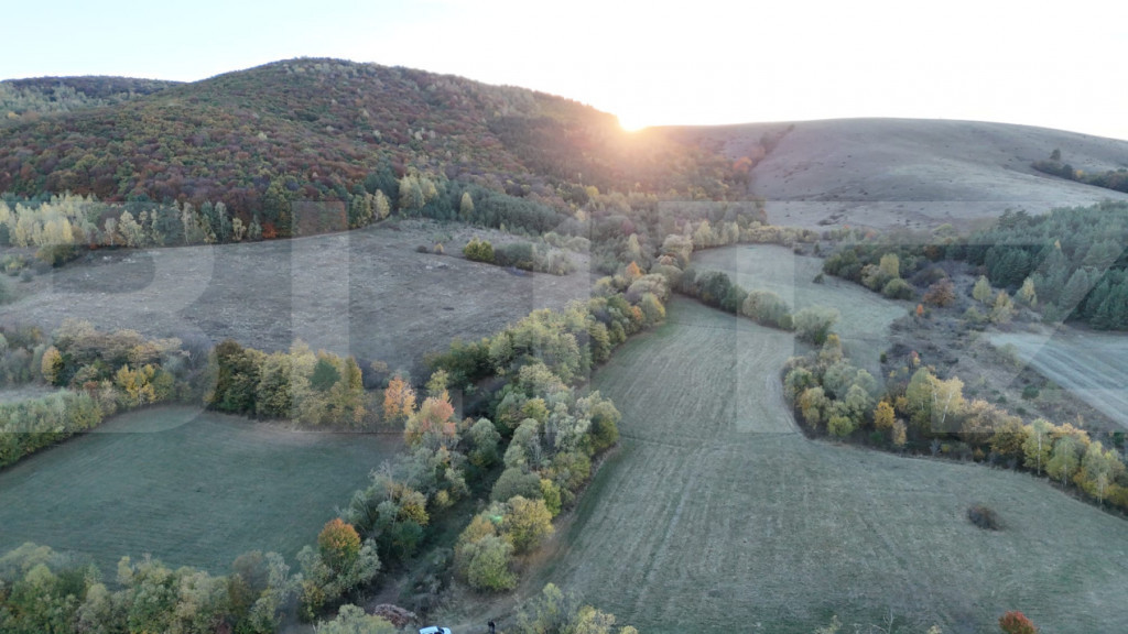 Investiție – 3,6 ha Glamping, Pensiune sau Centru Ecvestr