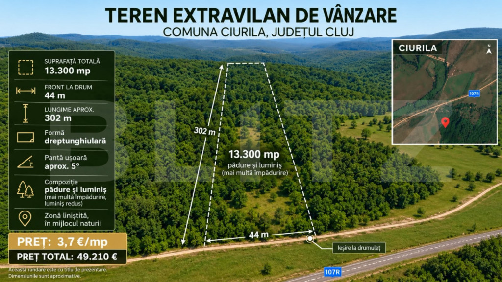 Teren extravilan, 13.300 mp în Ciurila | Formă dreptunghiu