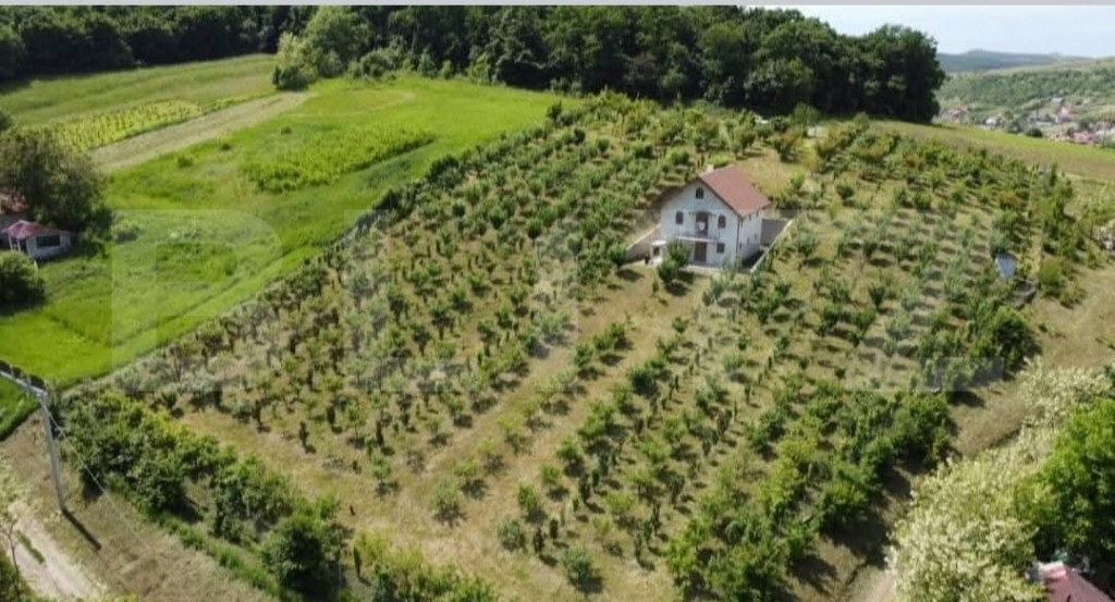 Casă și livadă de vânzare, 150 mp, zona Grebenișu de C?