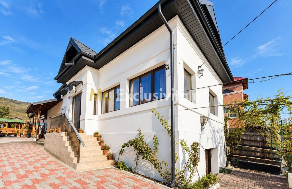 Vilă P+1 de vanzare, 164 mp, teren 462 mp, garaj, zona Ște