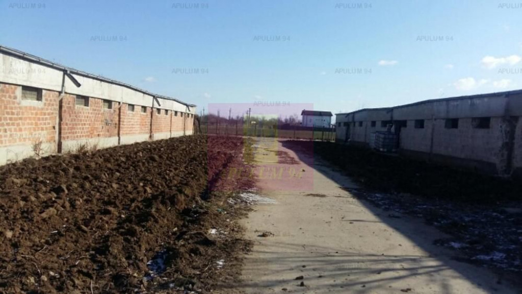 Hala industriala de vanzare | 510 mp | 3 unitati | Balotesti-Tunari