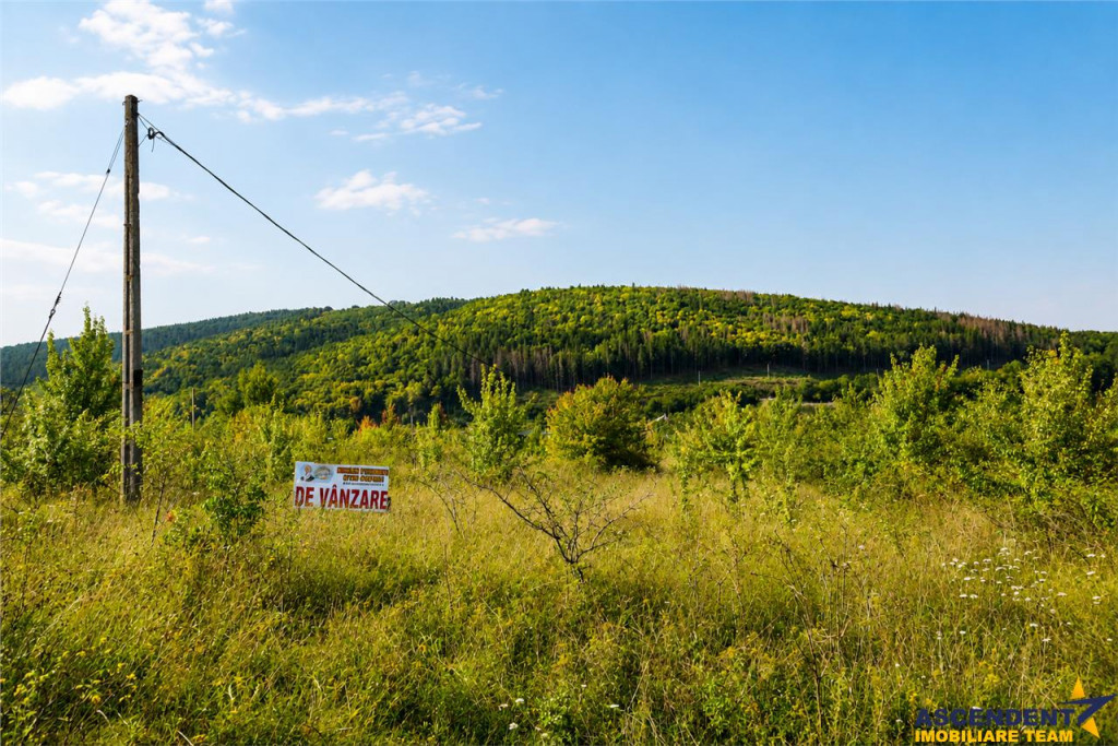 450mp intravilan, cu vedere spre lac, Moacsa, Covasna
