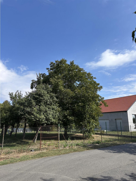 Teren - Plopi - Toate utilitatile str. asfaltata