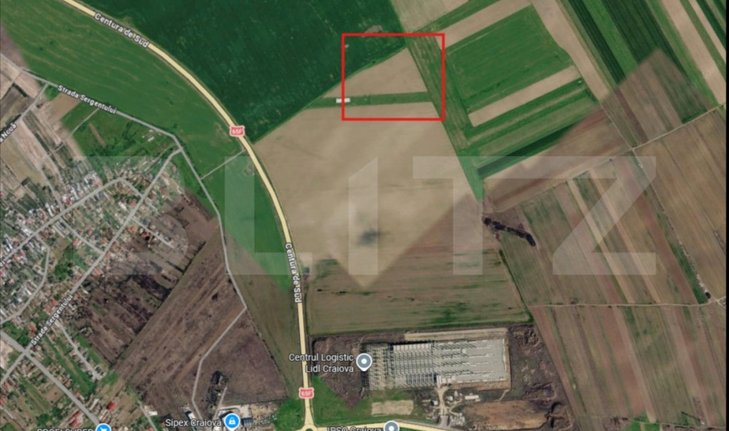 Teren de vanzare, 7500 mp, Carcea