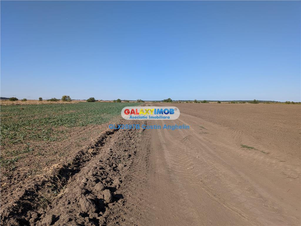 Oportunitate investitie: Teren intravilan 496 mp - Vadu Anei