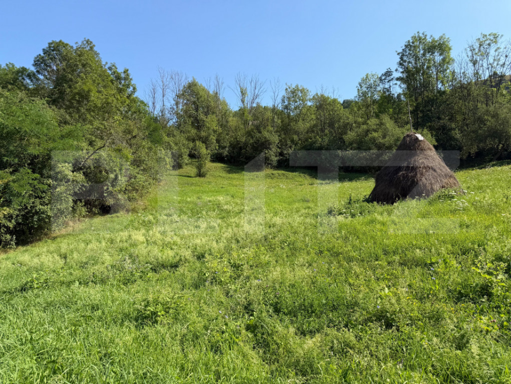 Teren de vânzare intravilan-Ocoliș